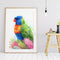 Rainbow Lorikeet and Grevilleas 2, by Earthdrawn Studio. Australian Art Prints. Green Door Decor.  www.greendoordecor.com.au
