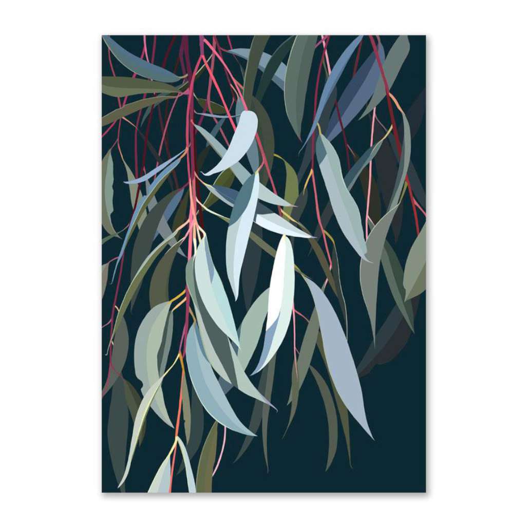 Riley's Hakea (Limited Edition)