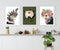 Spirit Bird, Settle Petal & Stevie prints by Grotti Lotti. Australian Art Prints. Green Door Decor. www.greendoordecor.com.au