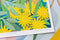'Sunrise' Limited Edition print by Claire Ishino. Australian Art Prints and Homewares. Green Door Decor. www.greendoordecor.com.au
