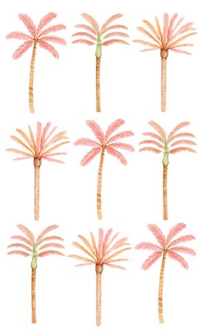 Wall Stickers - Happy Palms - Pink Mixed, by Sailah Lane. Australian Art Prints. Green Door Decor. www.greendoordecor.com.au