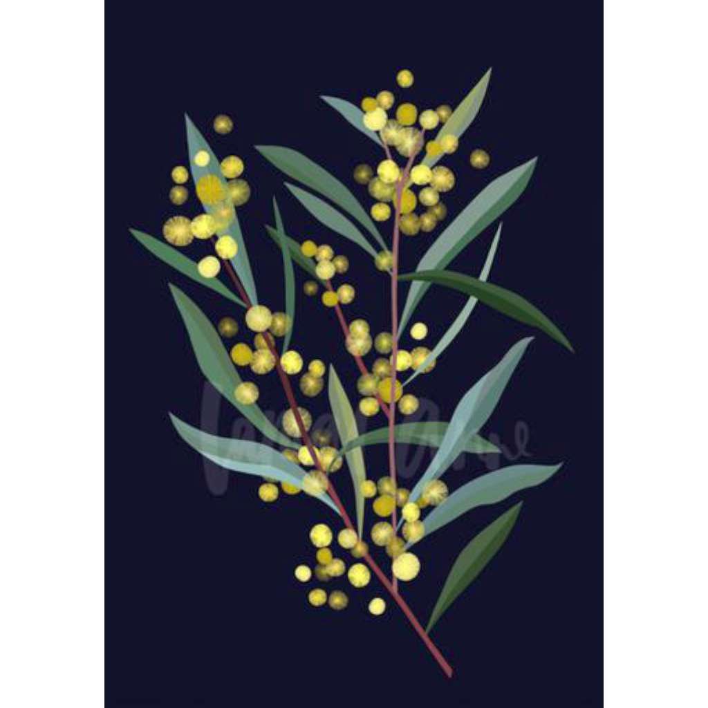 Wattle Branch on Navy (Limited Edition)