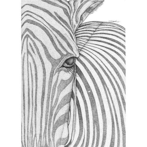 Zane the Zebra print, by Dots by Donna. Australian Art Prints and Homewares. Green Door Decor. www.greendoordecor.com.au