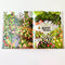 Bees Are Our Friends book by Toni D'Alia. Australian Art Prints and Homewares. Green Door Decor. www.greendoordecor.com.au